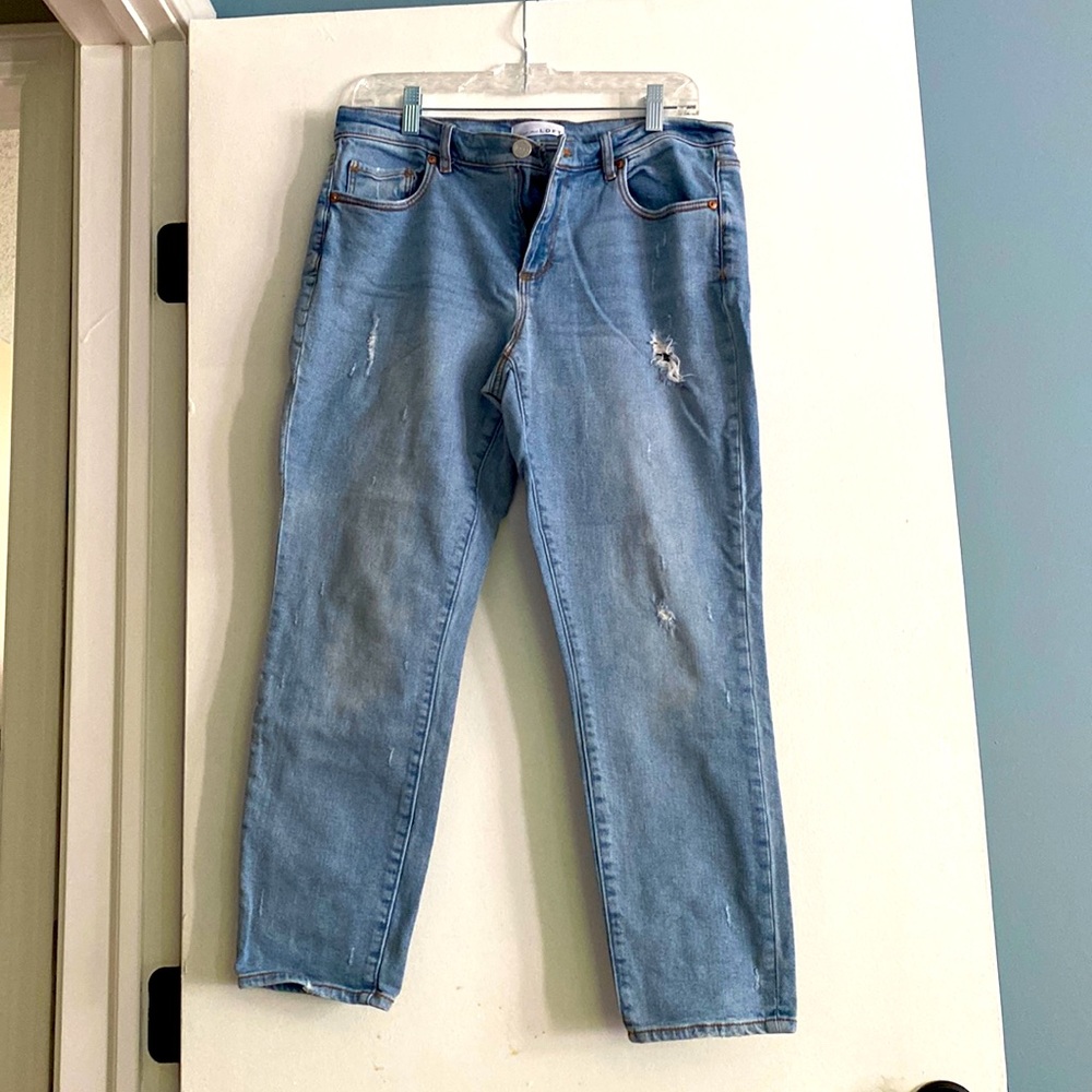 Modern skinny crop jeans from Loft size 8